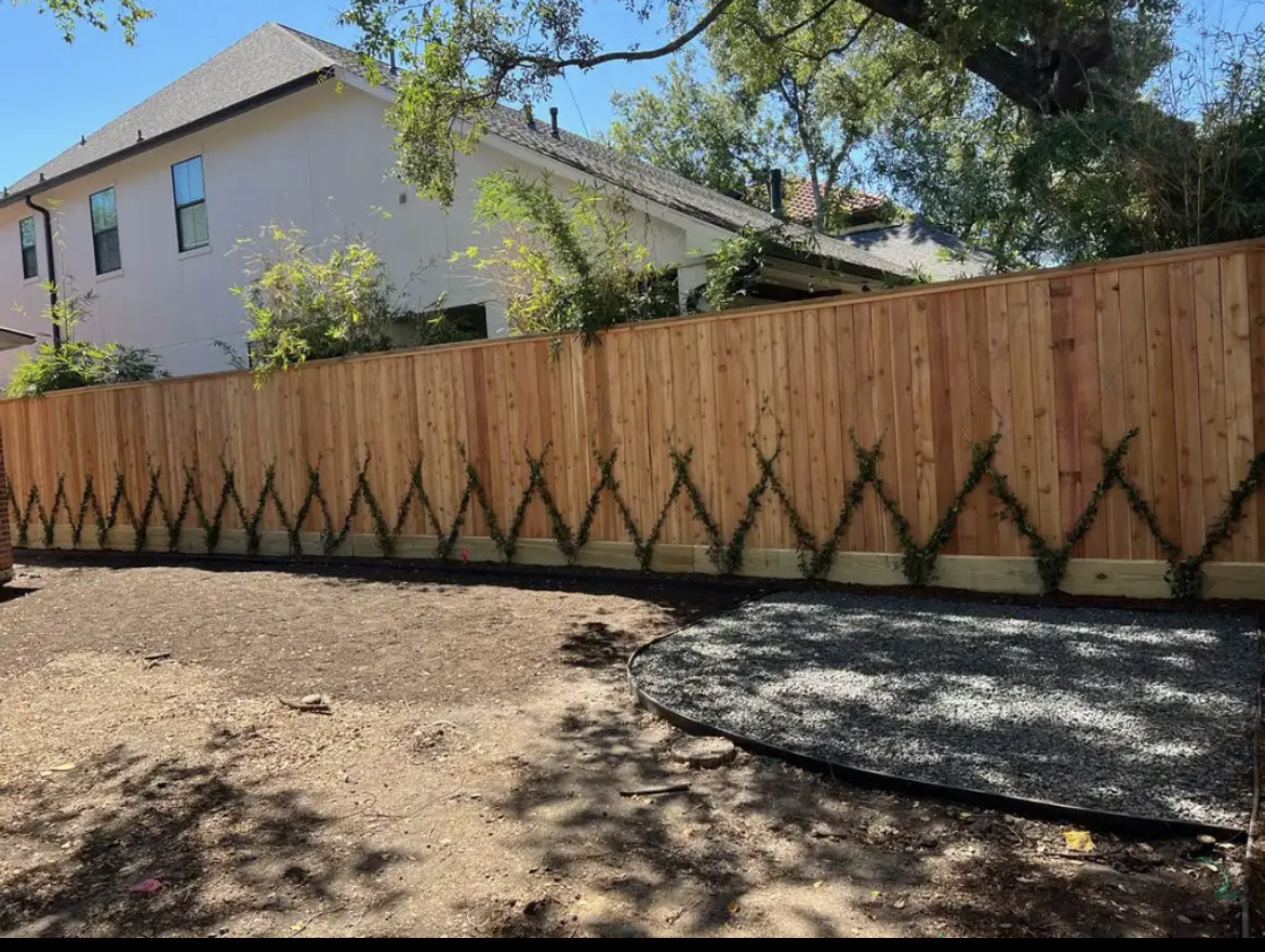 Wood privacy fence with climbing vines along a Houston backyard — Jorge Torres Fence